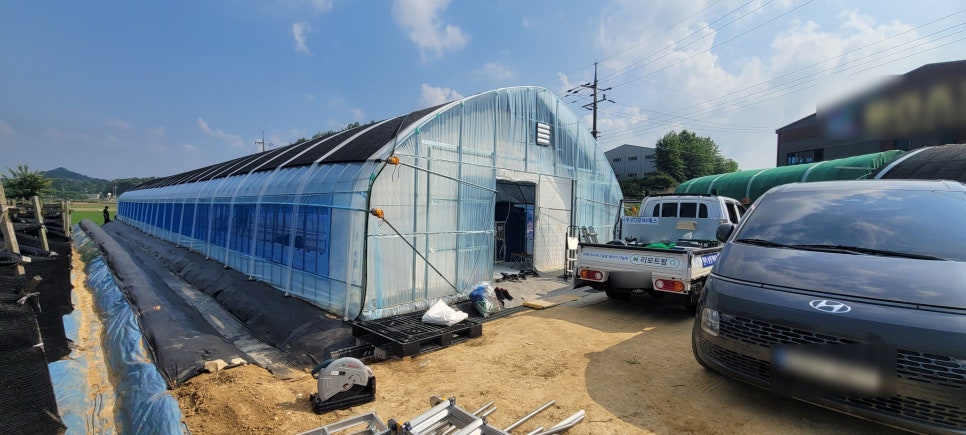 충남 아산 선장면 신축하우스 리모트팜 설치 사례 현장 사진 6