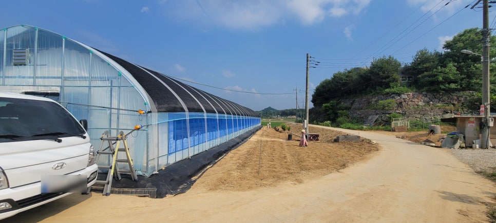 충남 아산 선장면 신축하우스 리모트팜 설치 사례 현장 사진 9