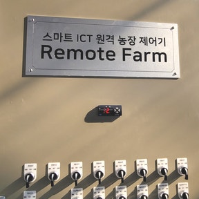 경남 창원 식물원 41채널 하우스 원격제어 설치 사례 현장 시공 사진 1