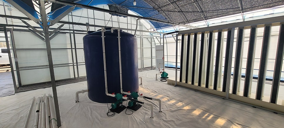충북 청주 오창 바질 수직재배 복합환경제어 사례 현장 사진 19