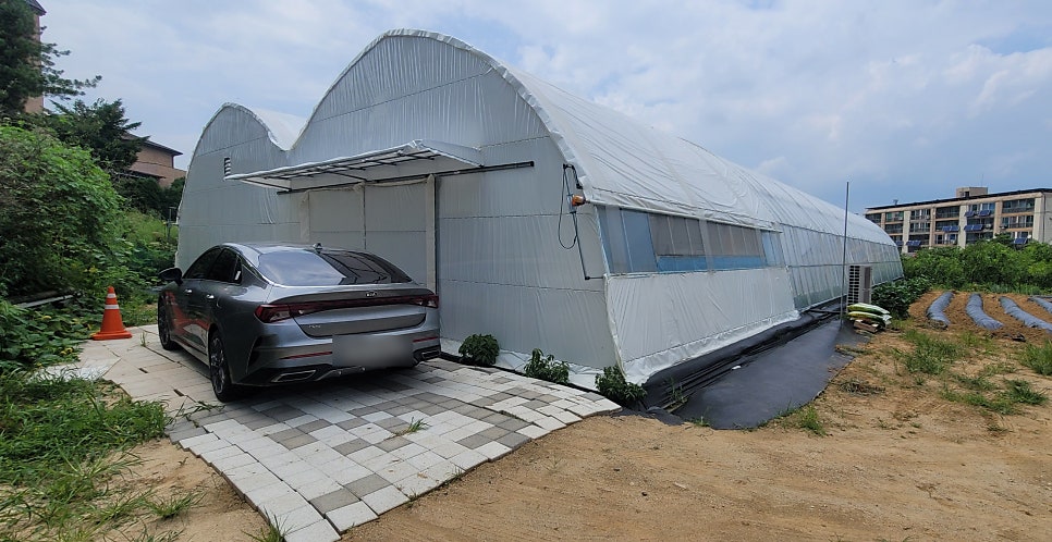 충북 청주 오창 바질 수직재배 복합환경제어 사례 현장 사진 3