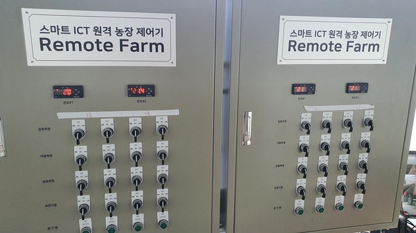 충북 청주 딸기 2단동 하우스 환경센서 원격제어 사례 현장 사진 7
