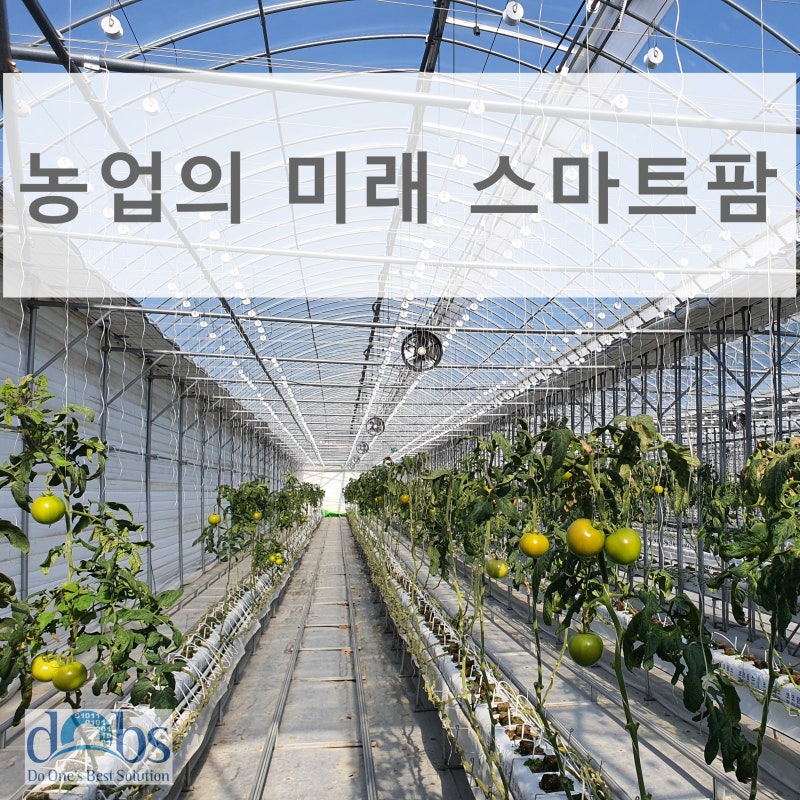 강원 철원 토마토 하우스 25개 제어 항목 통합 원격제어 사례 현장 시공 사진 1