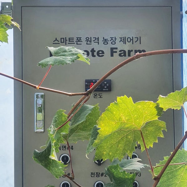 대구 비닐하우스 스마트폰 원격제어 구성 사례 현장 사진 10