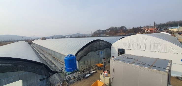 충남 금산 딸기 4개동 하우스 원격제어 설치 사례 현장 시공 사진 4
