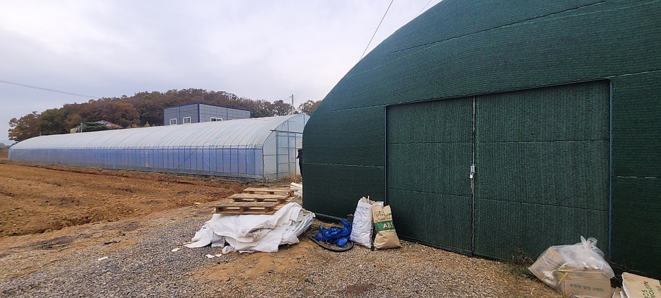 경기 김포 대곶면 신축 단동하우스 2개동 원격제어 사례