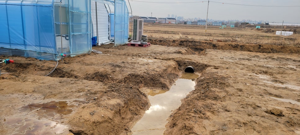 경기 김포 양촌읍 허브 수직재배 신축하우스 사례 현장 사진 8