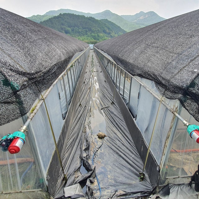 충남 홍성 딸기 다동 하우스 3개 제어반 원격제어 사례