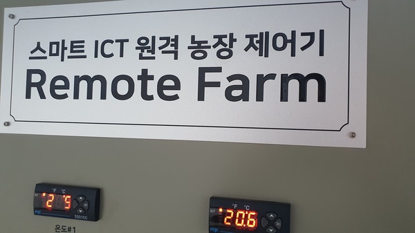 충남 홍성 딸기 다동 하우스 3개 제어반 원격제어 사례 현장 시공 사진 4