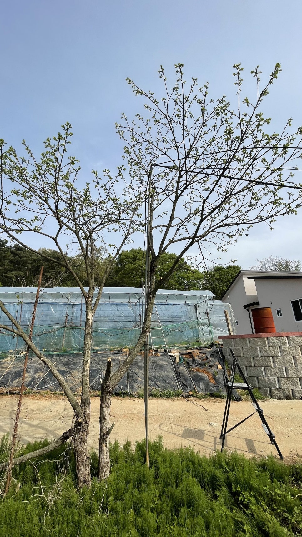 경기 화성 송산면 다육이 농장 개폐기·유동팬·포그 원격제어 사례