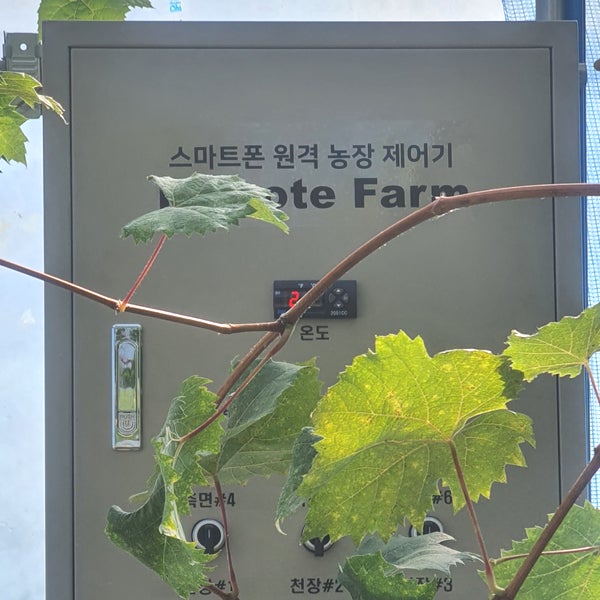 전남 축사·다육이·포도·새싹삼 스마트팜 종합 설치 사례 현장 사진 11