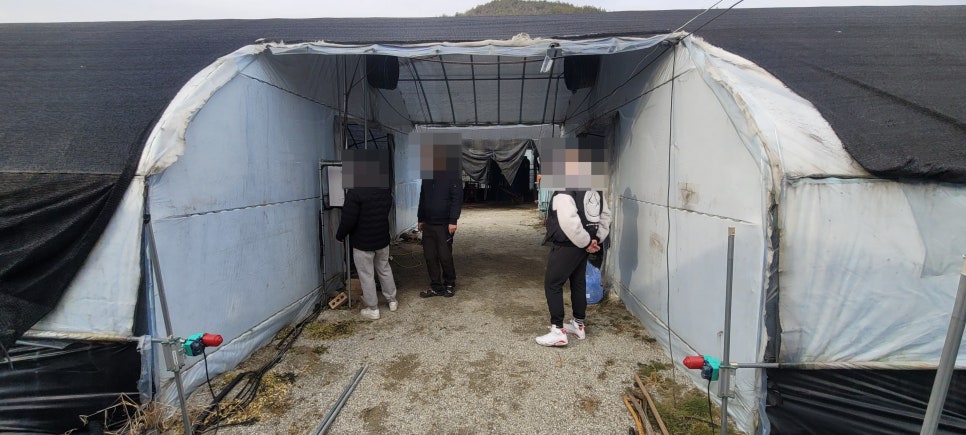 전북 진안 부귀면 버섯하우스 노후 제어반 교체 사례 현장 사진 21