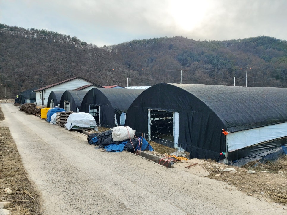 전북 진안 부귀면 버섯하우스 노후 제어반 교체 사례 현장 사진 3