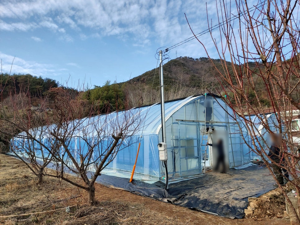 경남 밀양 초동면 신축 단동하우스 2동 원격제어 사례 현장 사진 29