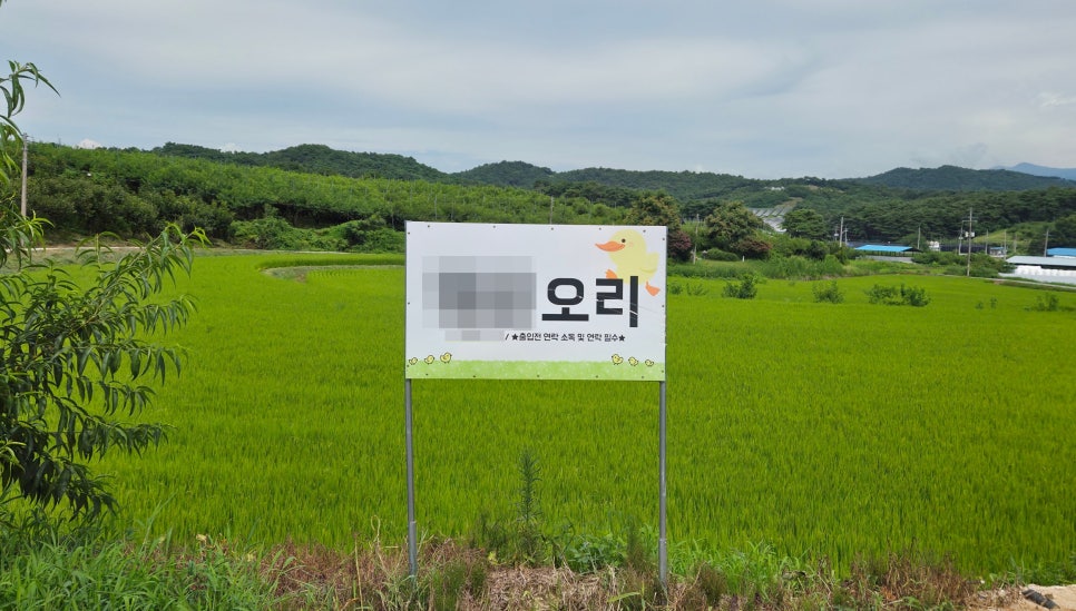 전북 남원 오리농장 리모트팜 제어반 4대 추가 납품 사례 현장 사진 2