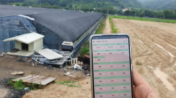 충남 논산 딸기·육묘 6단동 하우스 원격제어 설치 사례 현장 시공 사진 4