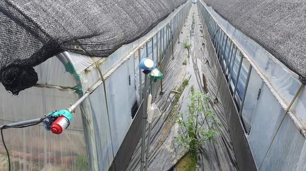 충남 논산 딸기·육묘 6단동 하우스 원격제어 설치 사례 현장 시공 사진 5