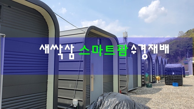 새싹삼 수경재배 스마트큐브 원격제어 사례 현장 시공 사진 1