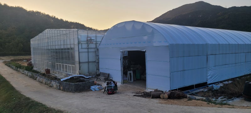 경북 울진 바나나 하우스 개폐기·펌프 원격제어 설치 사례