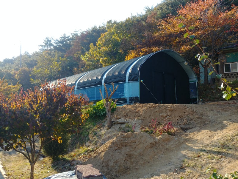 경북 영천 비닐하우스 스마트폰 원격제어 설치 사례